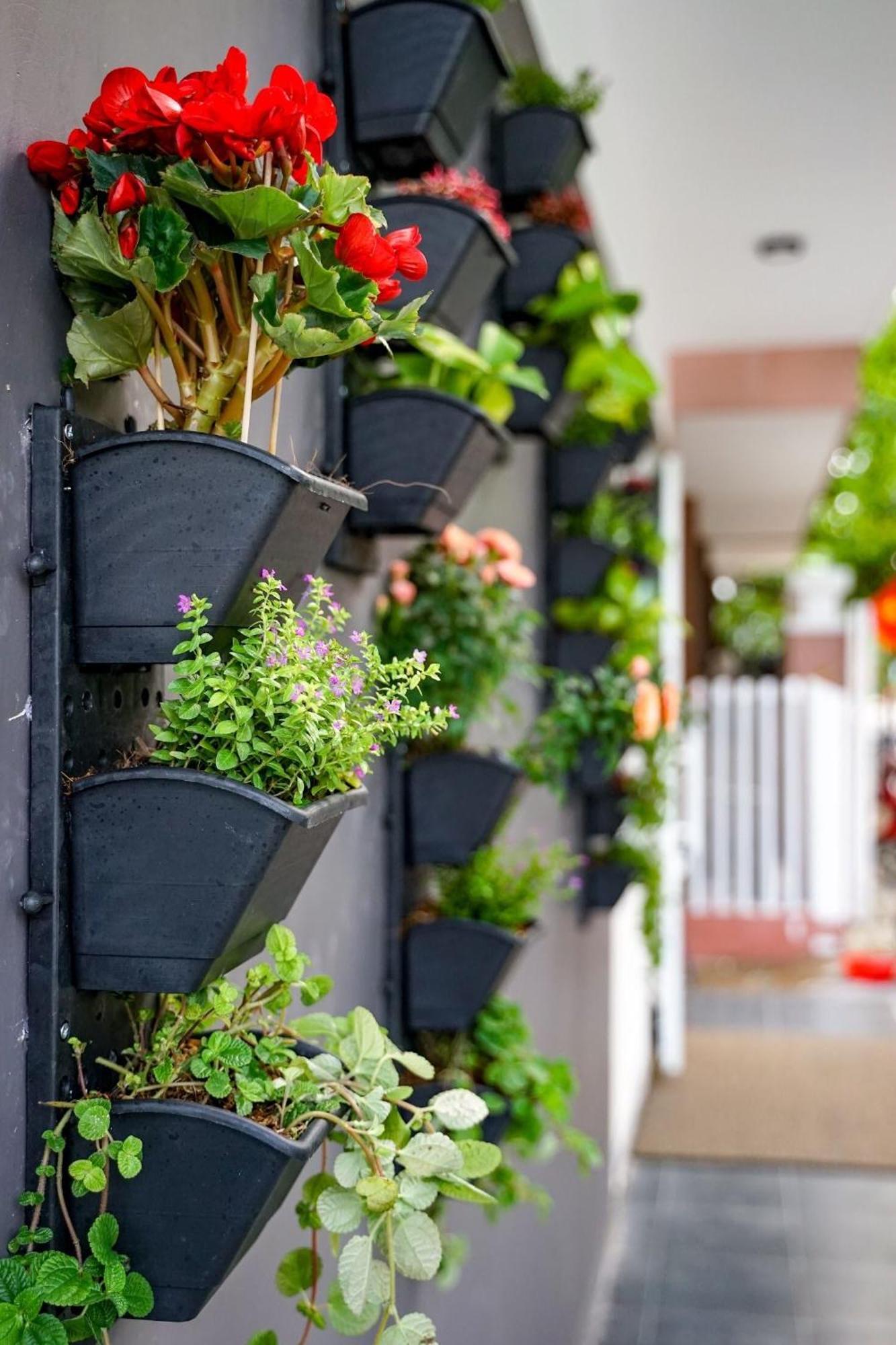 Local White House - Ecofriendly Homestay Đà Nẵng Exterior foto