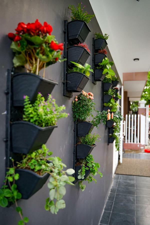 Local White House - Ecofriendly Homestay Đà Nẵng Exterior foto